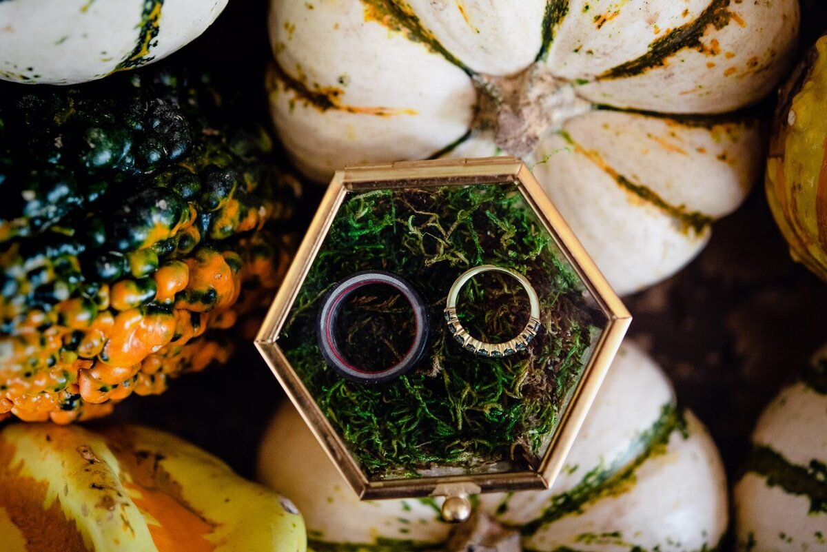 pecan-springs-ranch-wedding-details-001-1534x1024