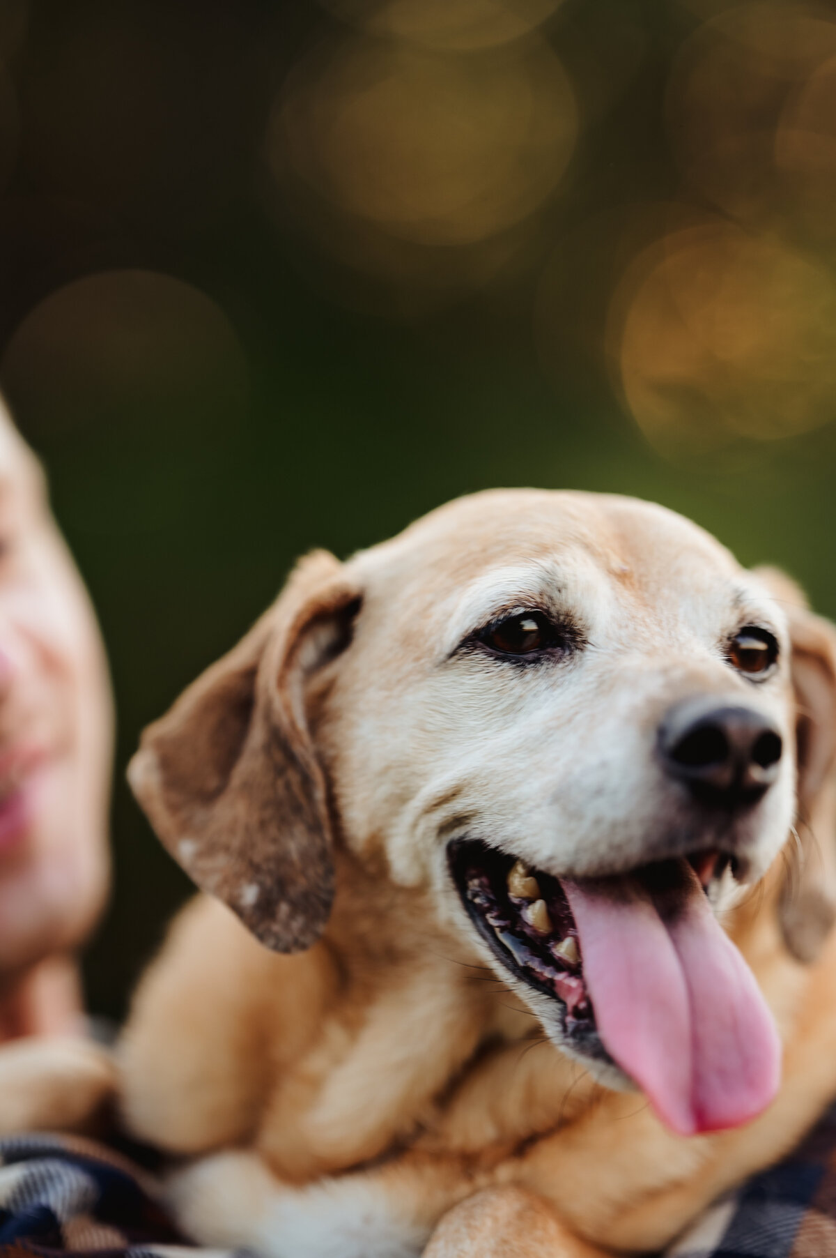 OliviaB_Fall2025_066