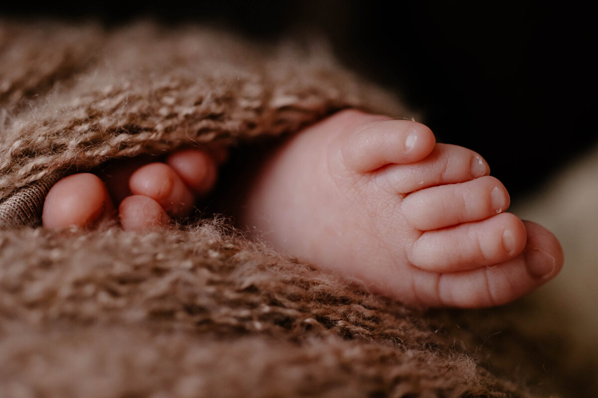 hudson-valley-newborn-photographer-010