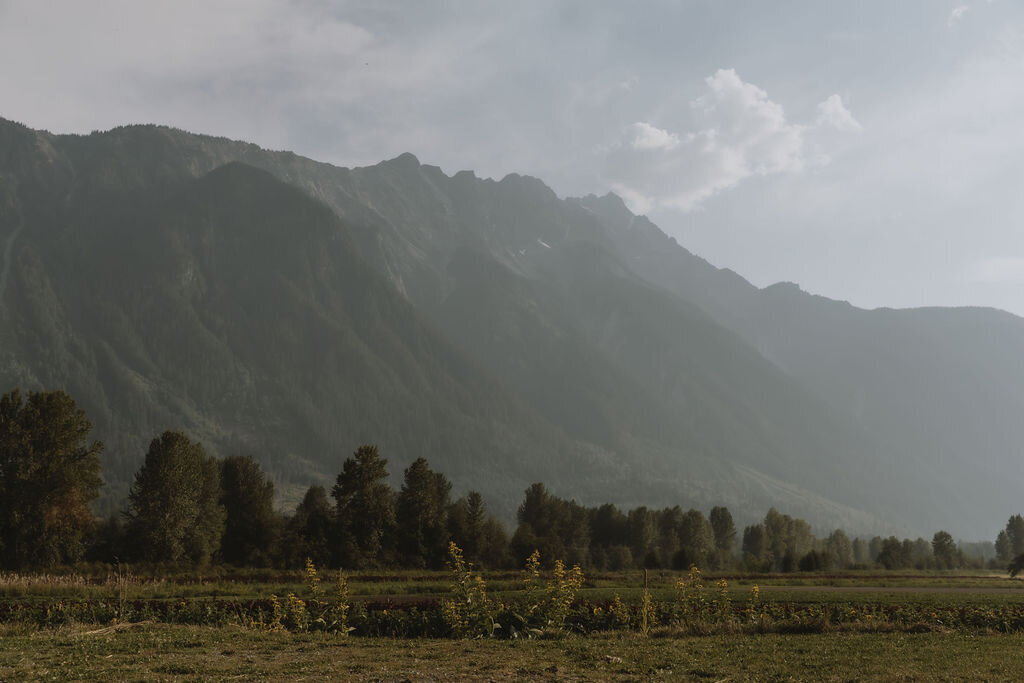 PembertonWedding-FrancesandIan-631