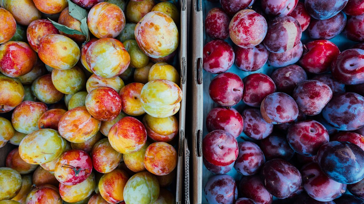 A variety of fresh fruits at Chestertown Farmer's Market, highlighting local produce and summer flavors.
