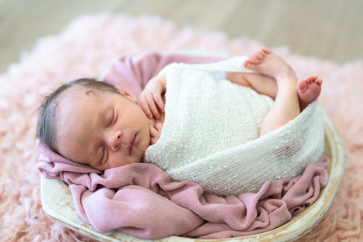 Baby Esmeralda Rose-68