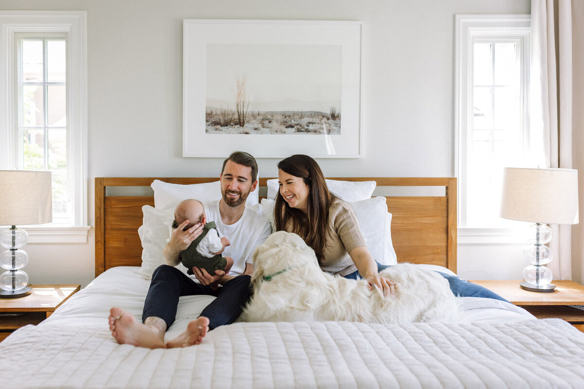 dad holding newborn on bed with white comforter and mom sits next to him petting large white dog