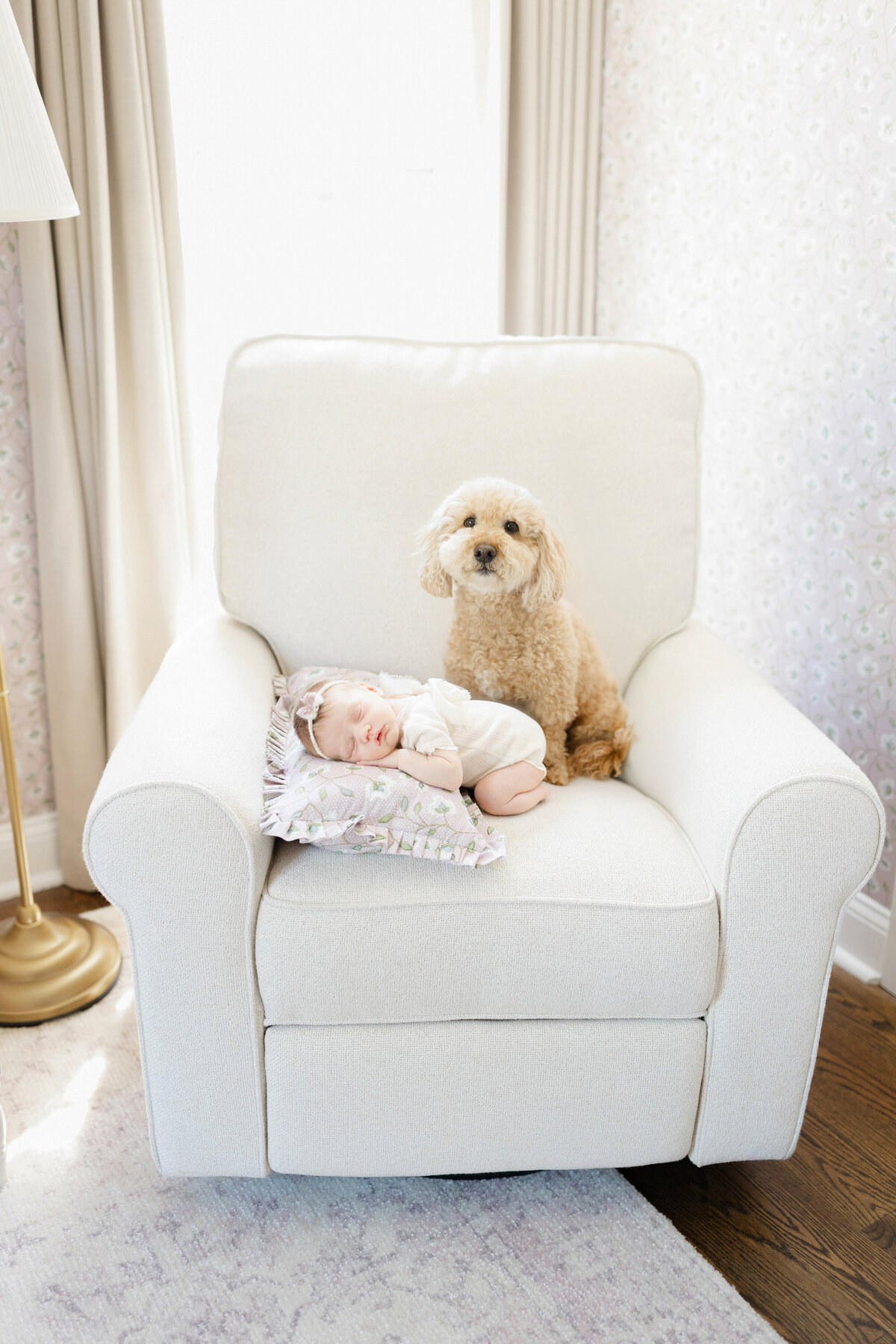 DC-newborn-photographer-stephanie-honikel-photography027 (1 of 1)