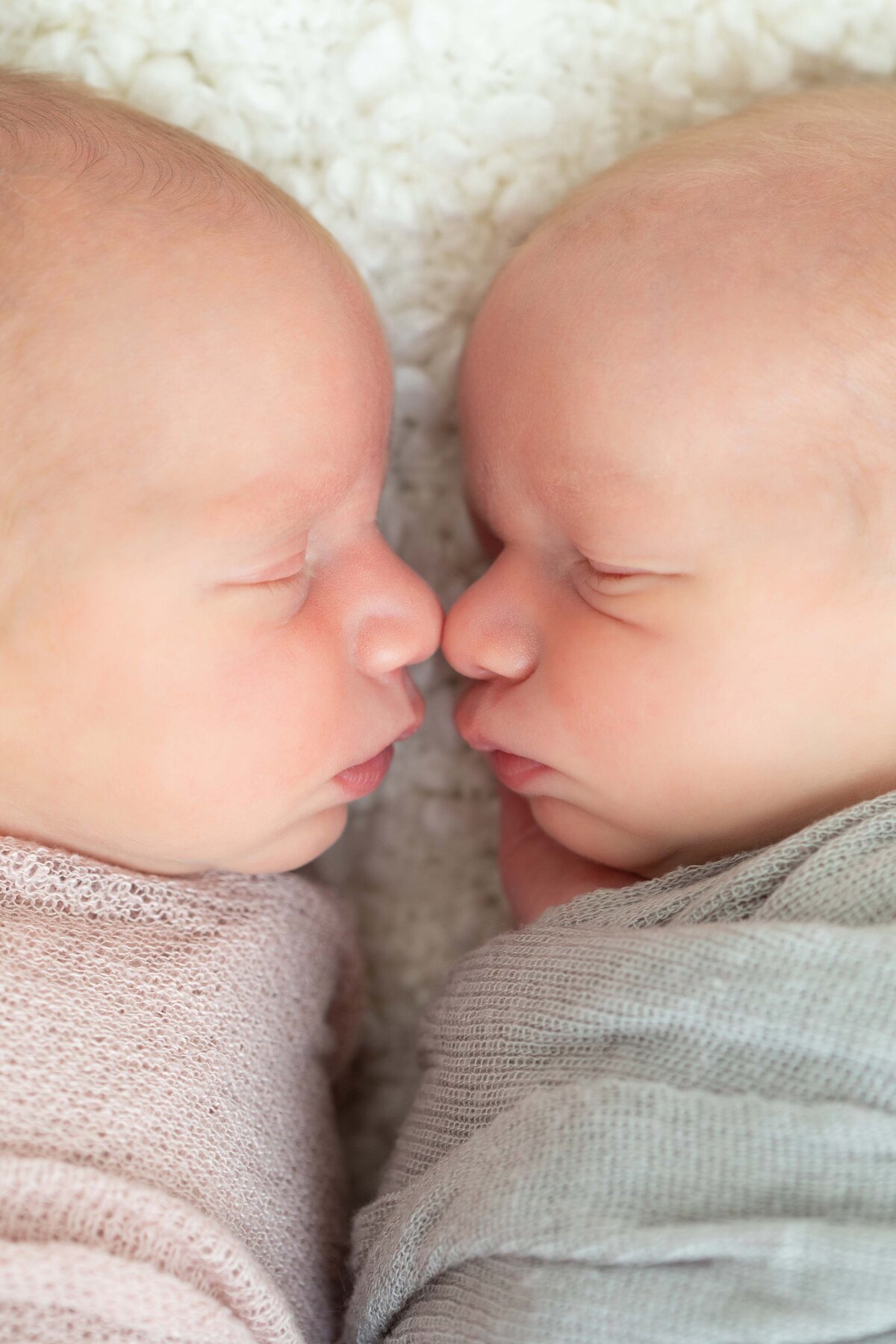 Newborn_twins_touch_noses