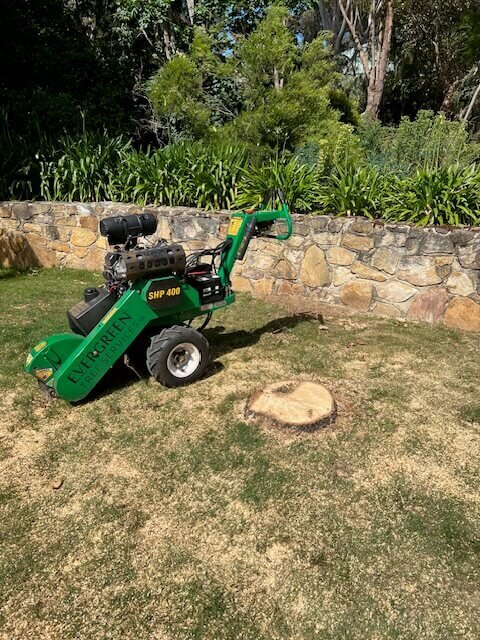 Evergreen Tree Services SA-Stump Grinding-010