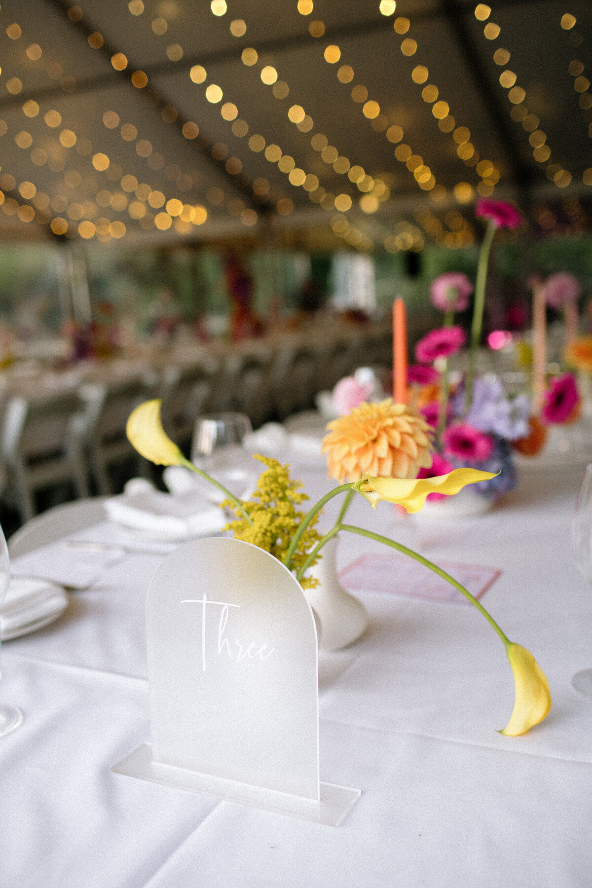 katie-thomas-wedding-524