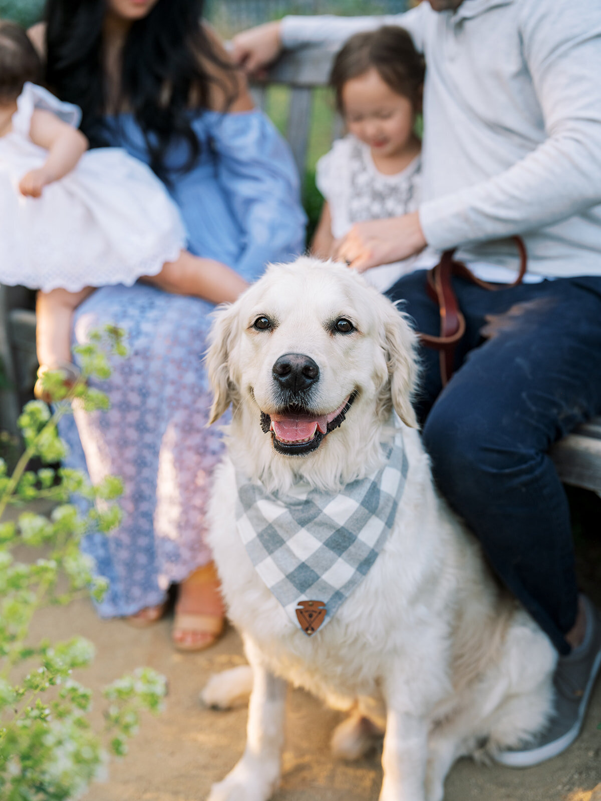Dog with children photos Gamble Garden family session Palo Alto