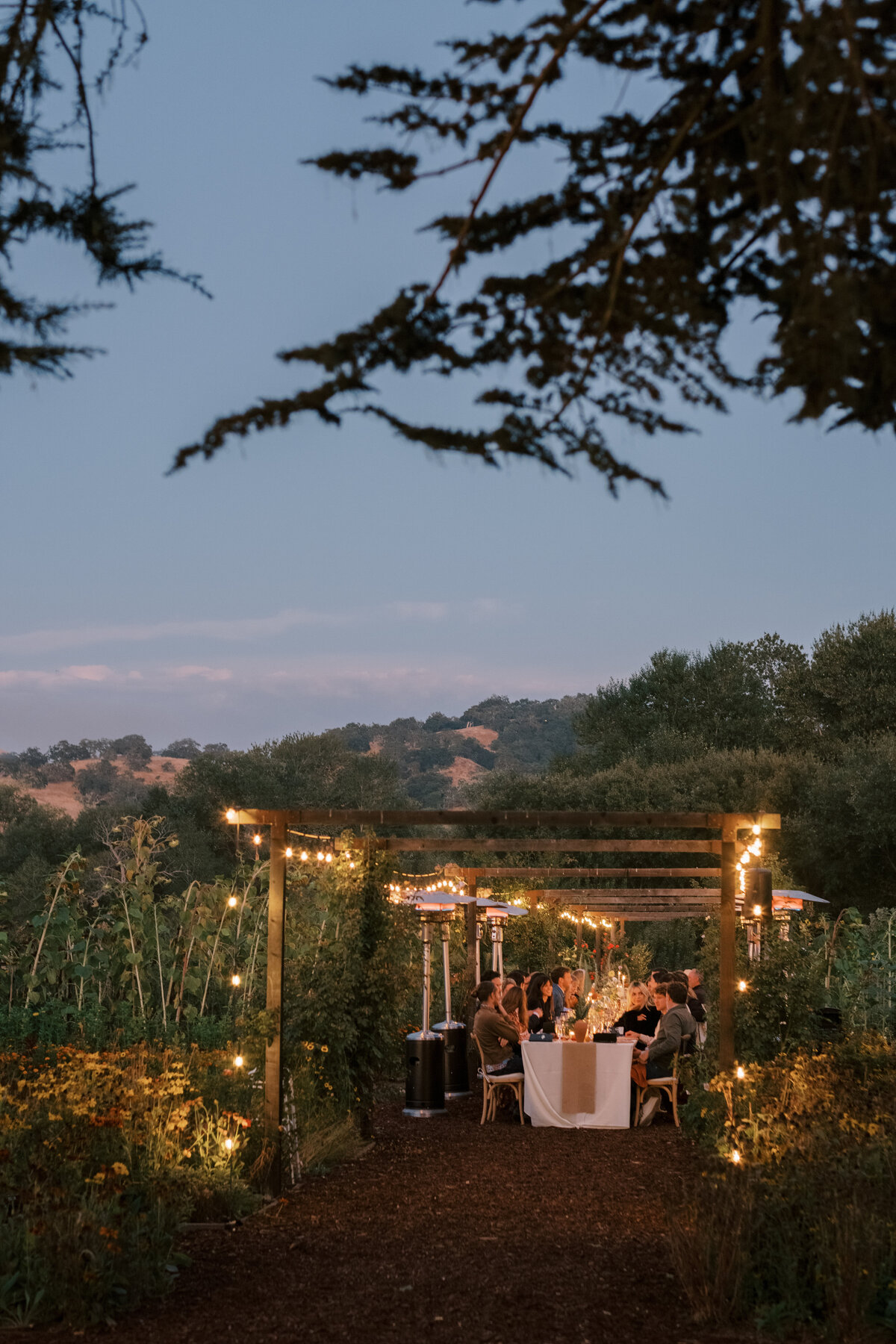 santa lucia preserve wedding photographer-4