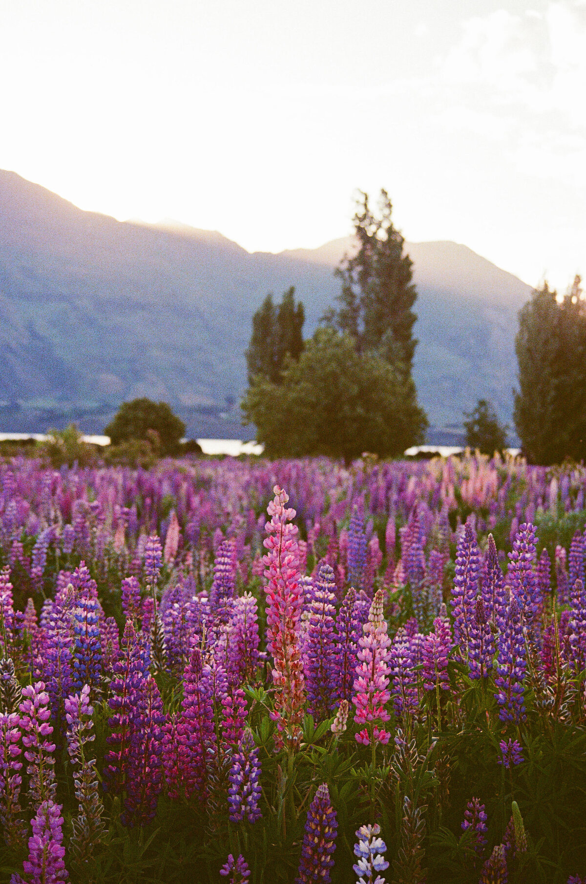 Film-Photographer-New-Zealand-96