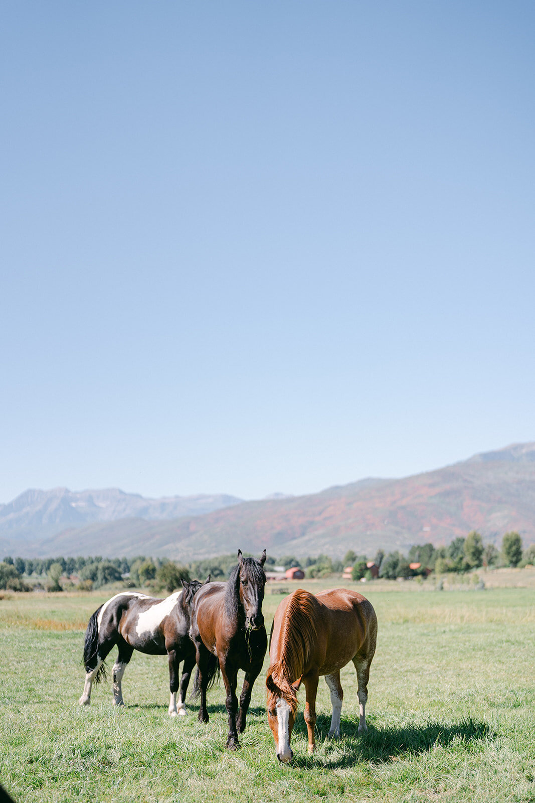 river-bottoms-ranch-september-fall-park-city-wedding-pepper-nix-2331-0758