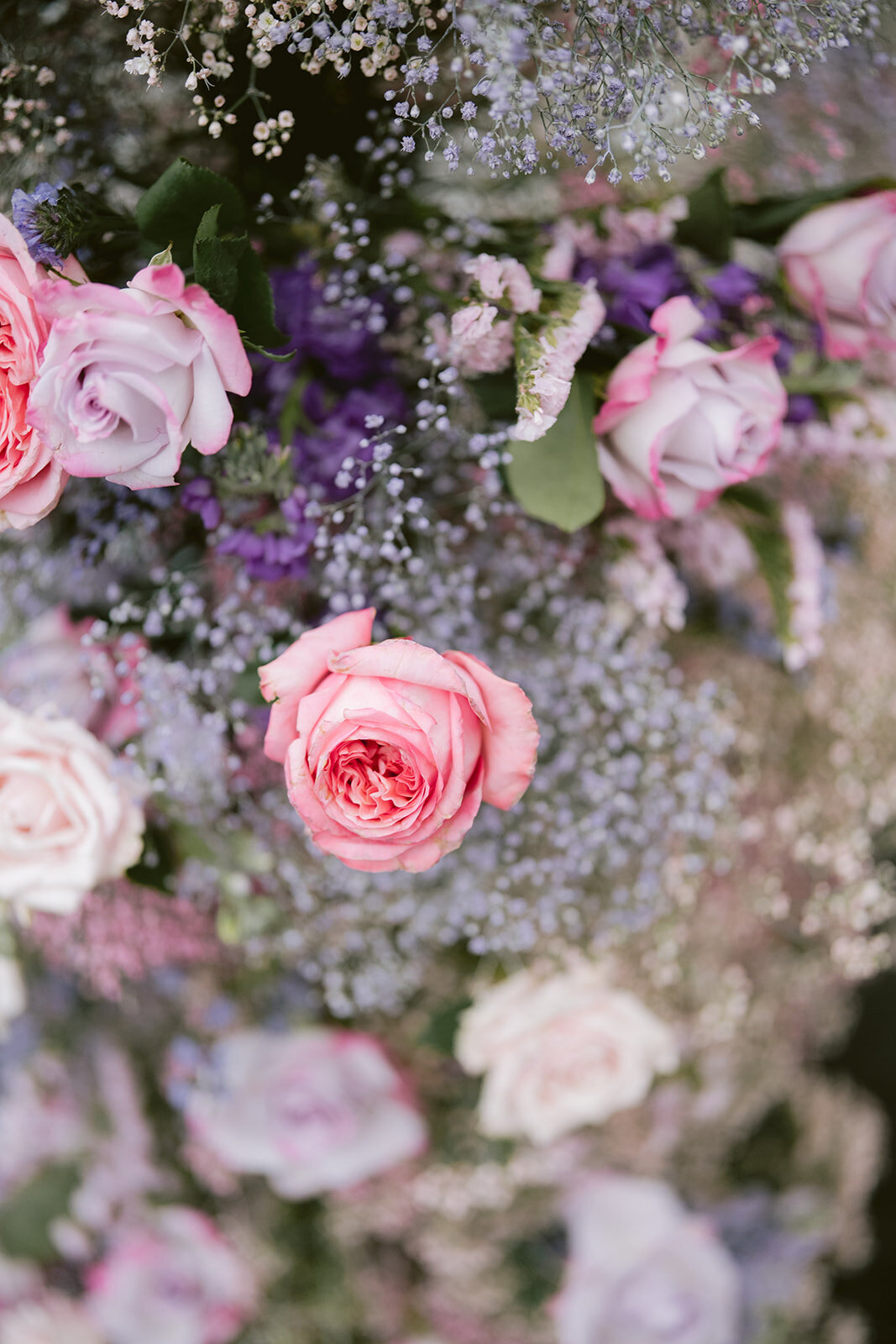 pink-rose-babys-breath-wedding-flowers-enza-events-tented-wedding-katonah