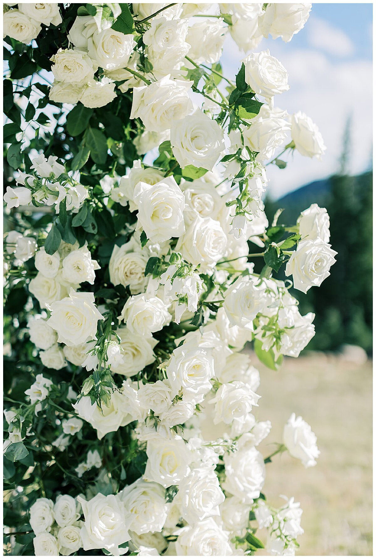 Crystal Leffel Photography Wedding Photographer Denver Colorado Timeless Light Airy The Vail Colorado Wedding Film Photographer_0163
