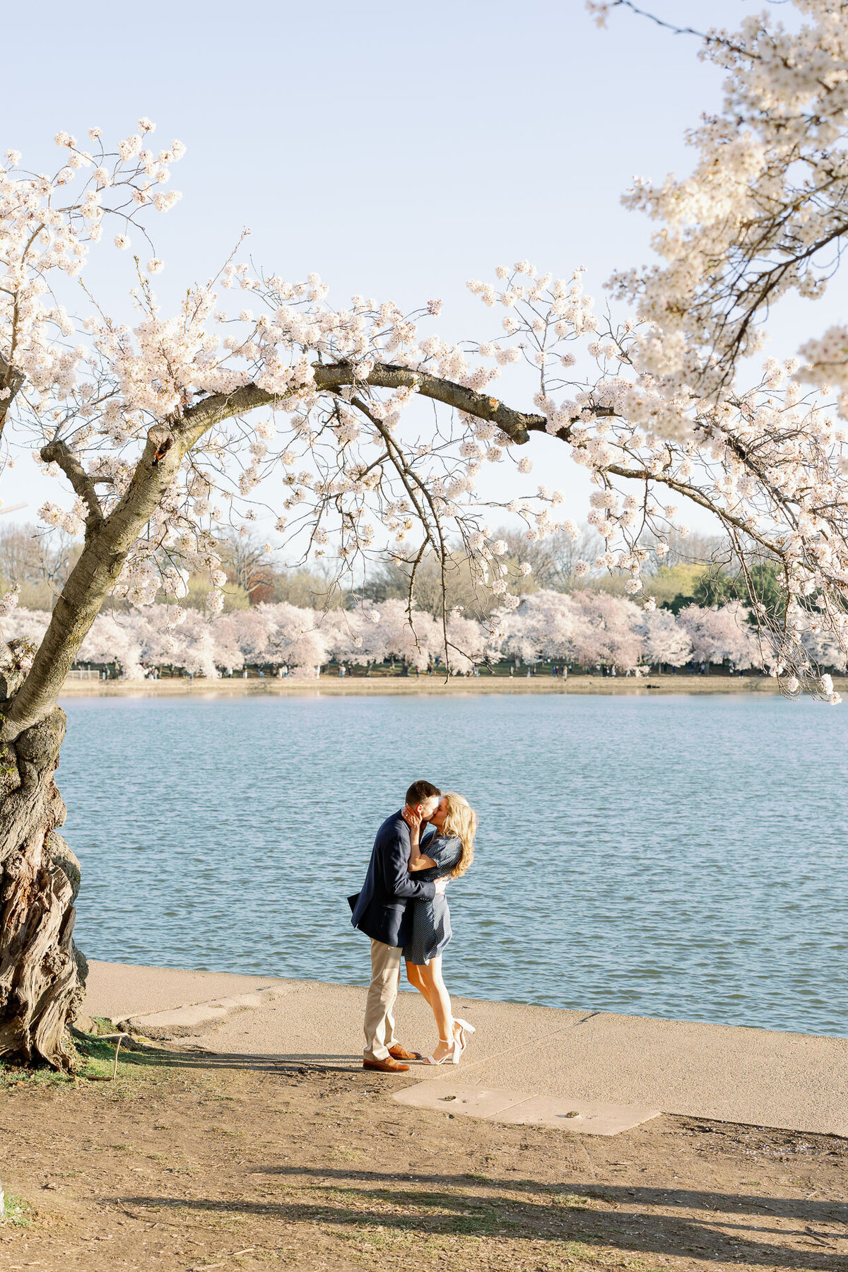 engagement-session-cherry-blossom-tidal-basin-washington-dc-84