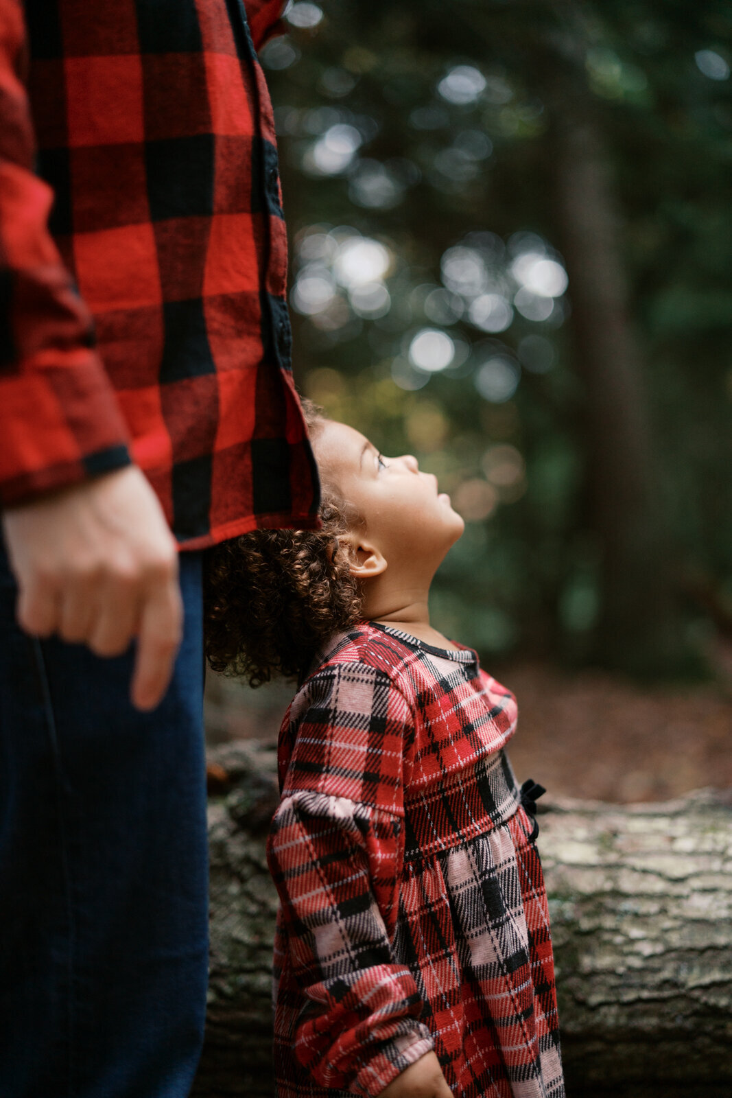 Grand Rapids Family Photographer-416