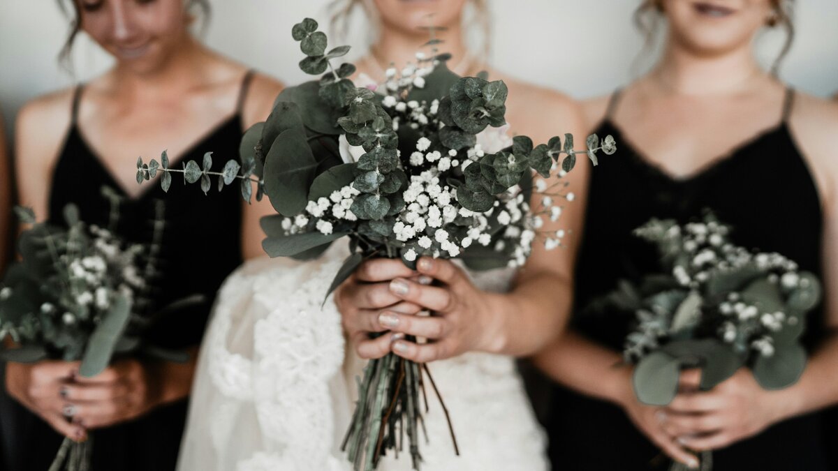 david-goldman-YwE6gDmliHM-unsplash