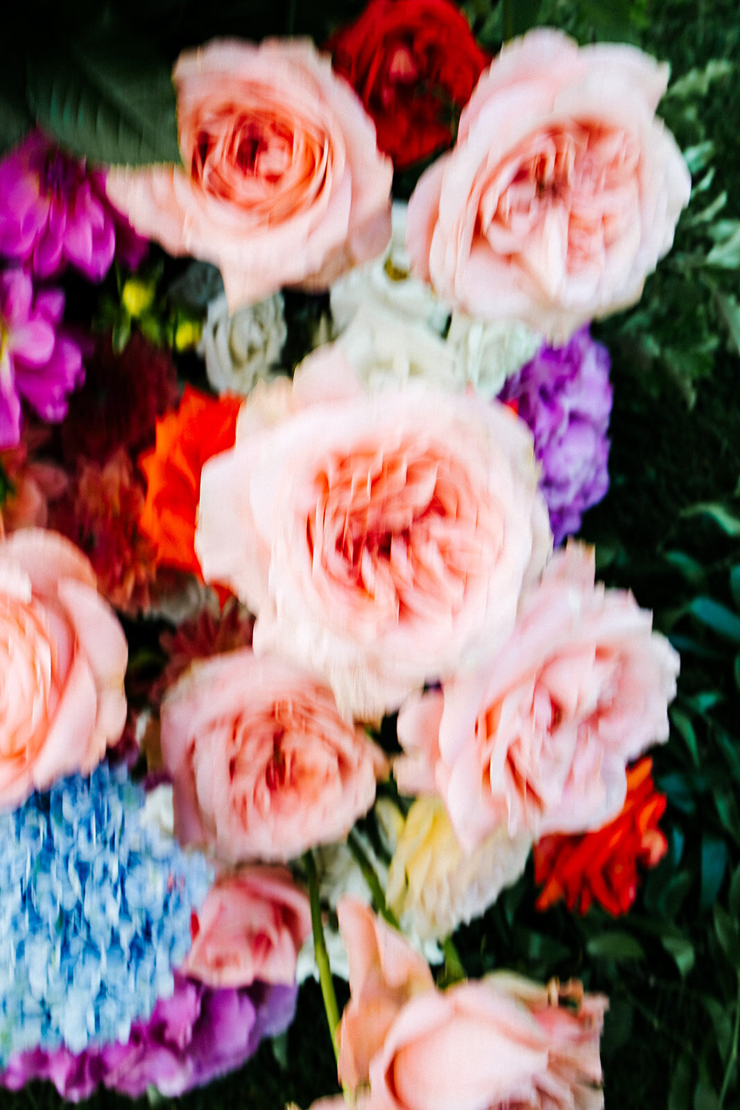 Loose flowers by IsabellaVerduyn-8