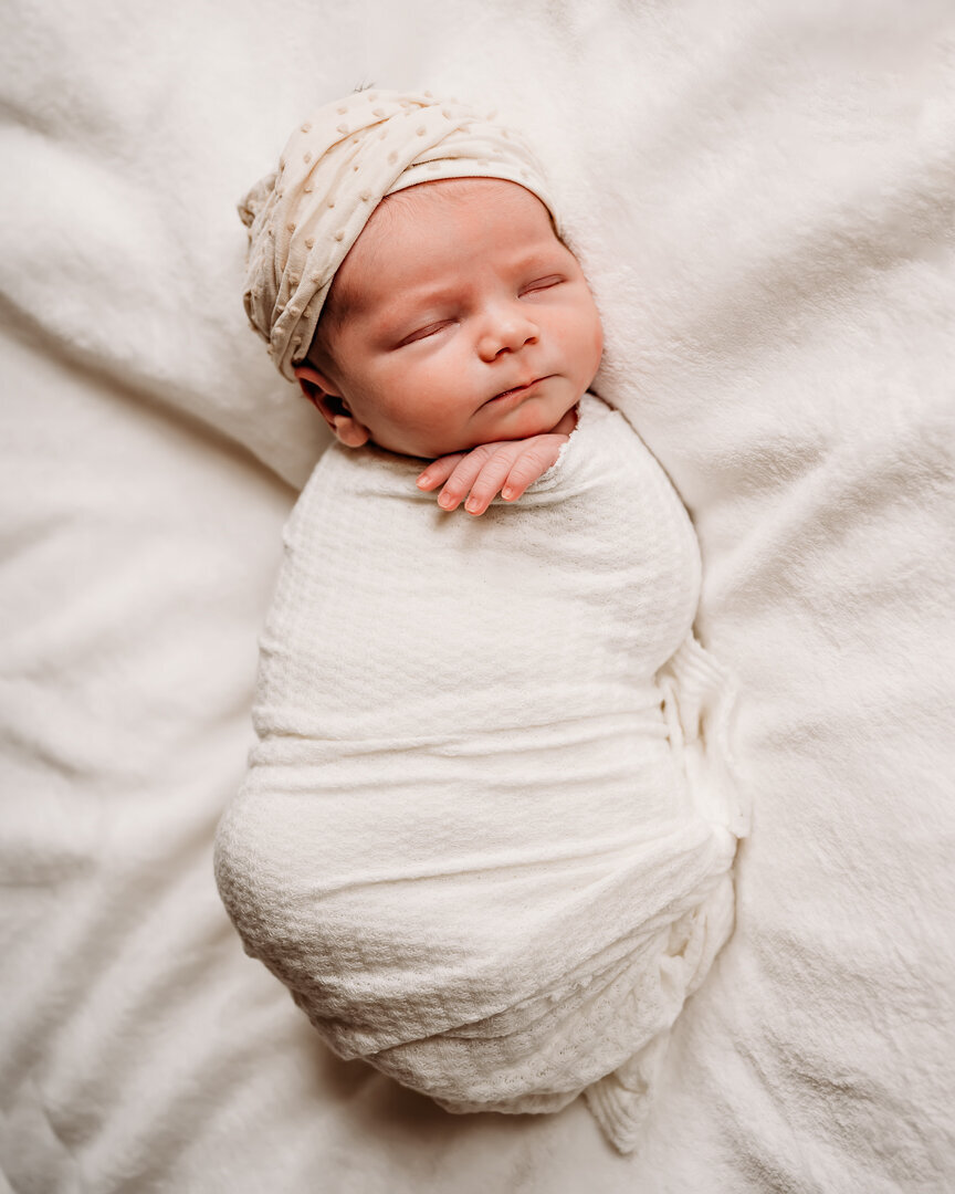 Northern Virginia newborn photos