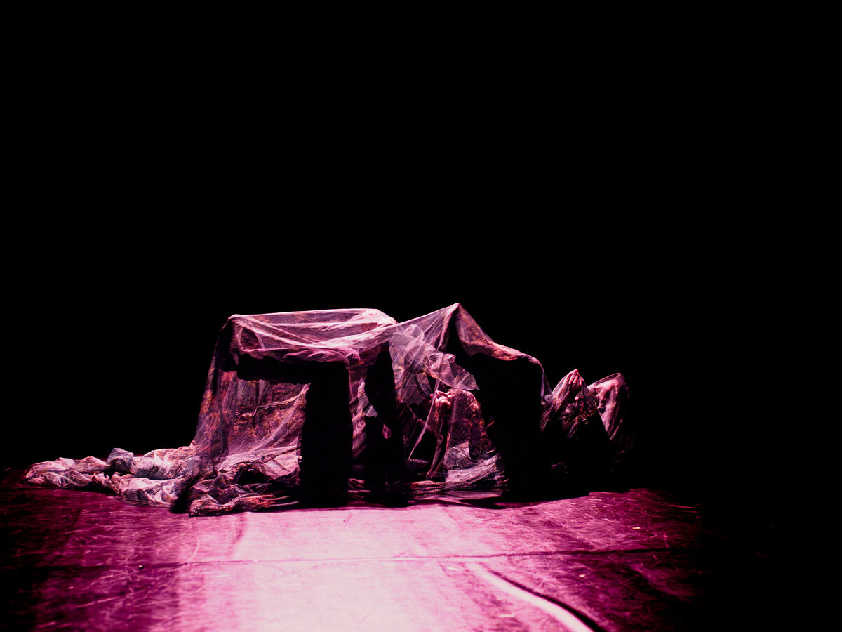 HISTOIRES INVISIBLES Le truculent exode rural des fantômes du Bengale ©Marie Charbonnier-26