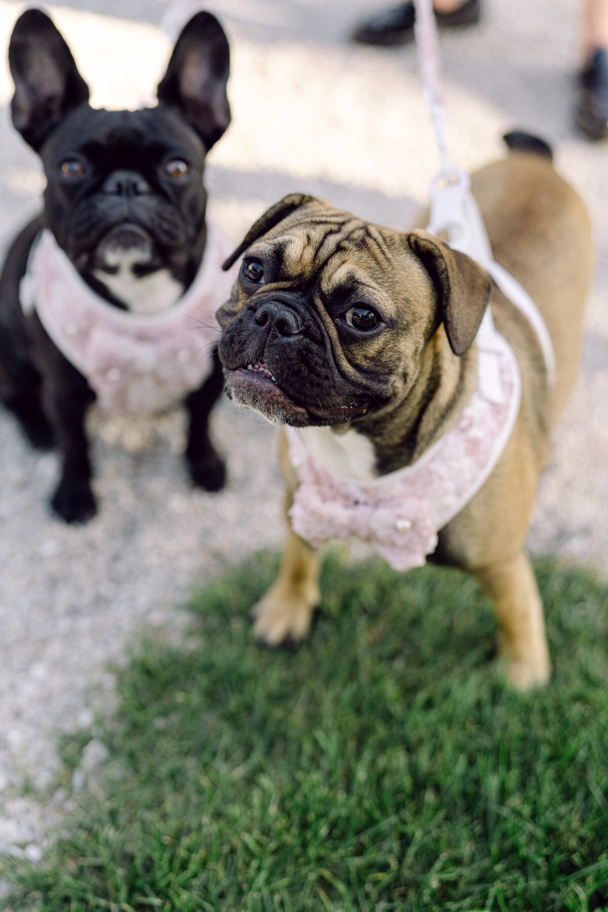 437-holly-felipe-wedding-01951