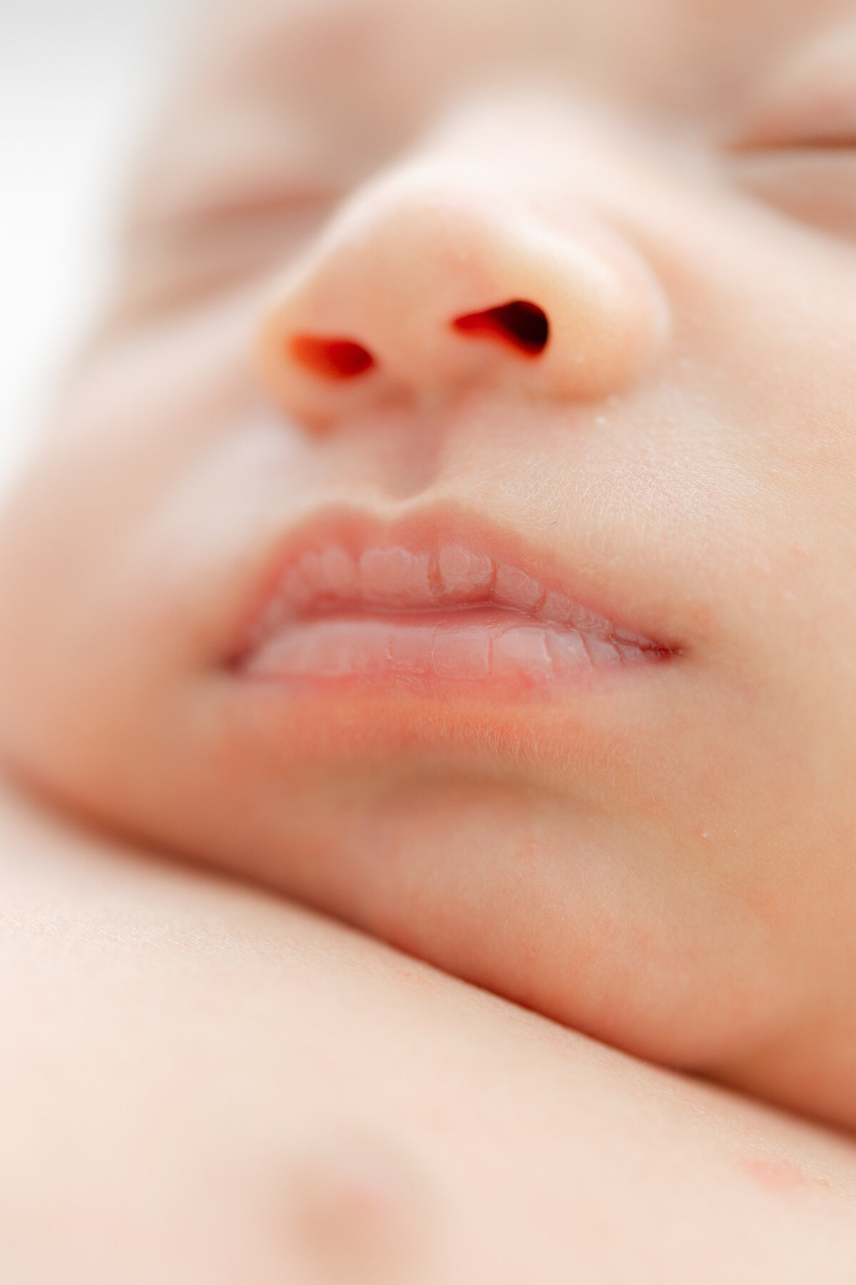 Philadelphia newborn portraits - 6