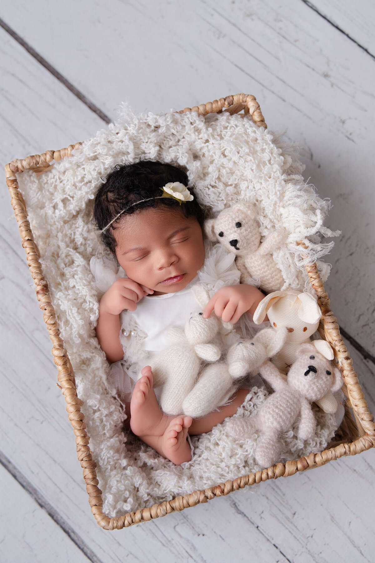 pretoria-newborn-photographer134