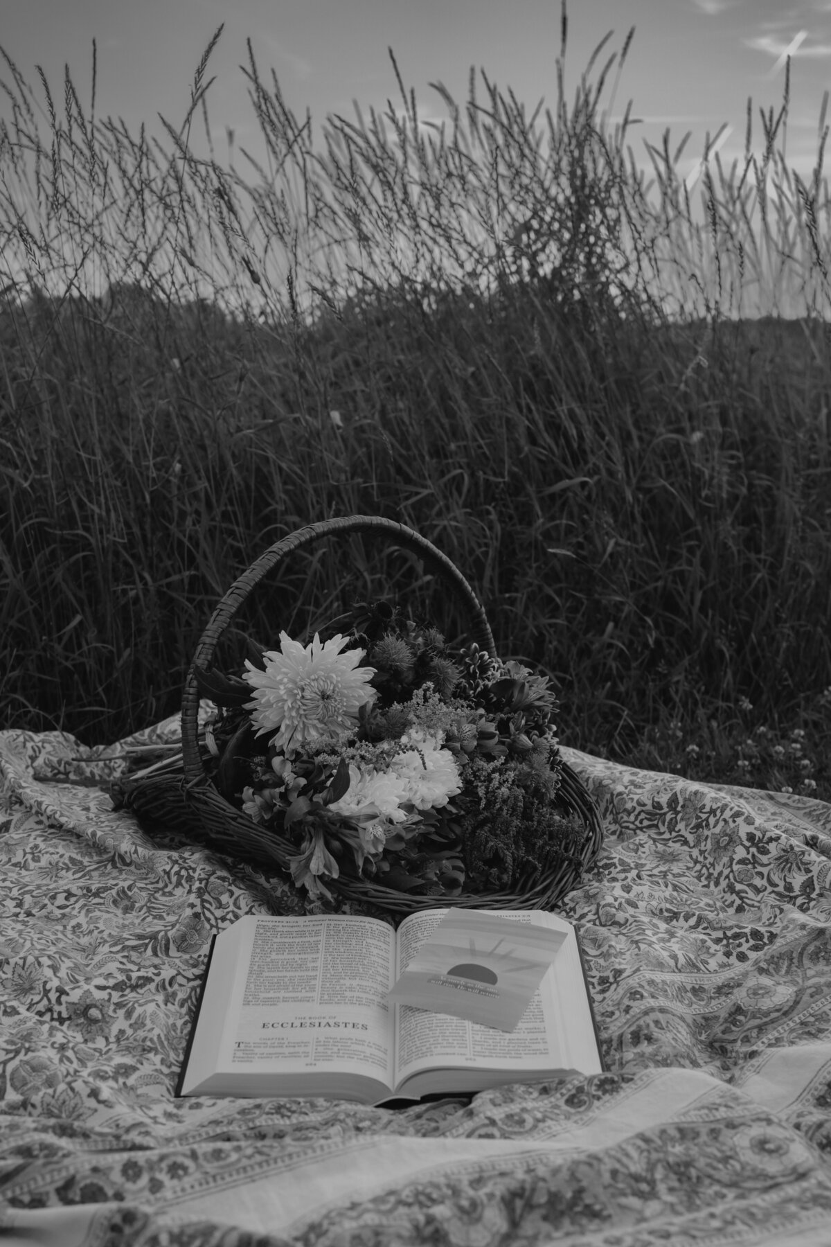 Mountain Green - Liefdevol Fotografie (24 van 25)