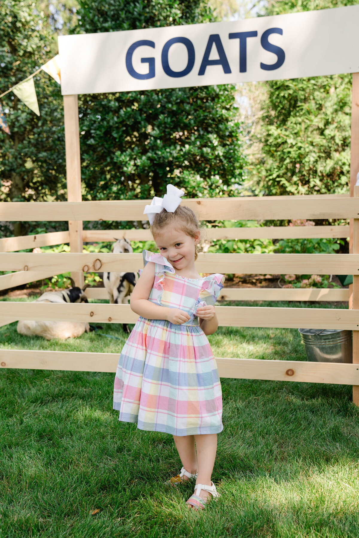 Luxury-Special-Event-Planner-Childrens-Birthday-Tented-Party0094