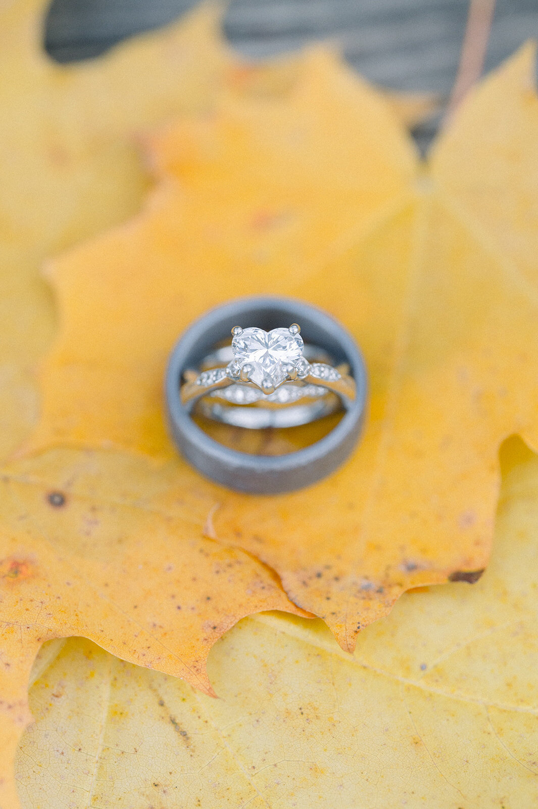 carmen_may_photography_ohiopyle_pa_elopement-330