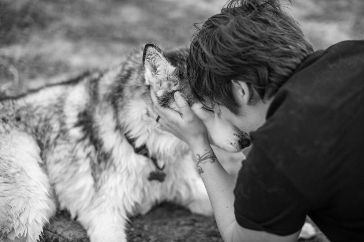 pet photography licensing 1 copy