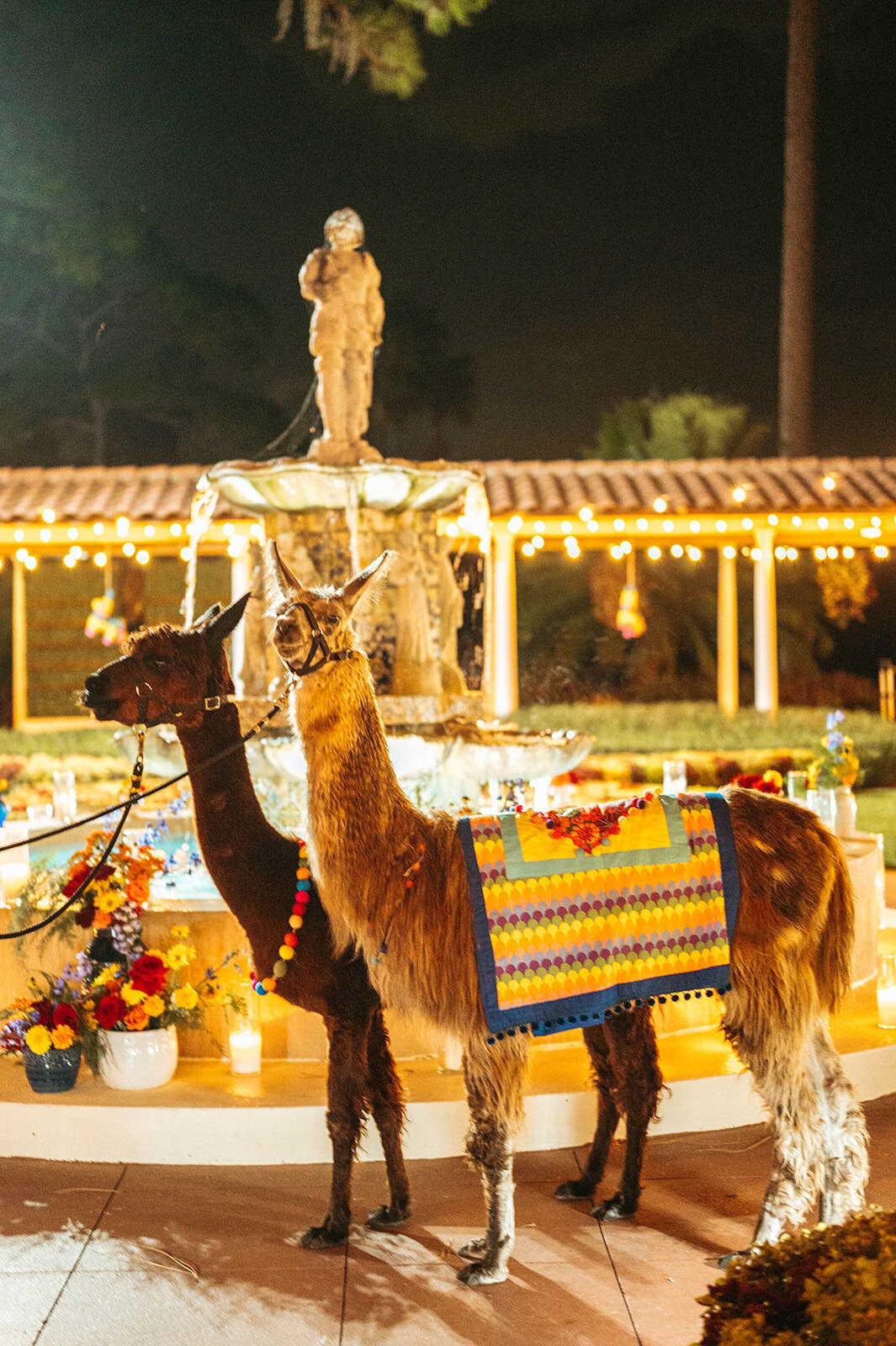 Central Florida Wedding Association Summit Event