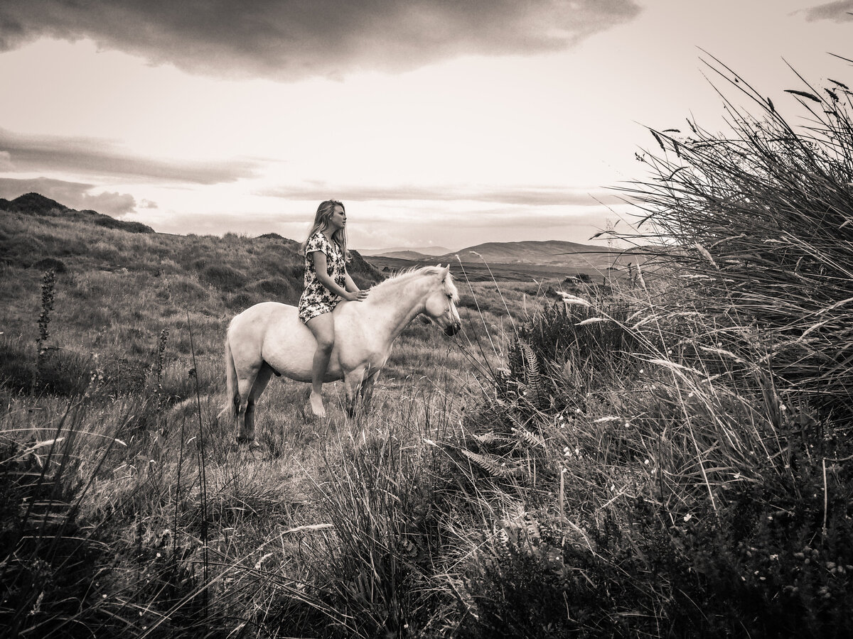 Revelaire Maryland Fine Art Pet Photography Horse 14