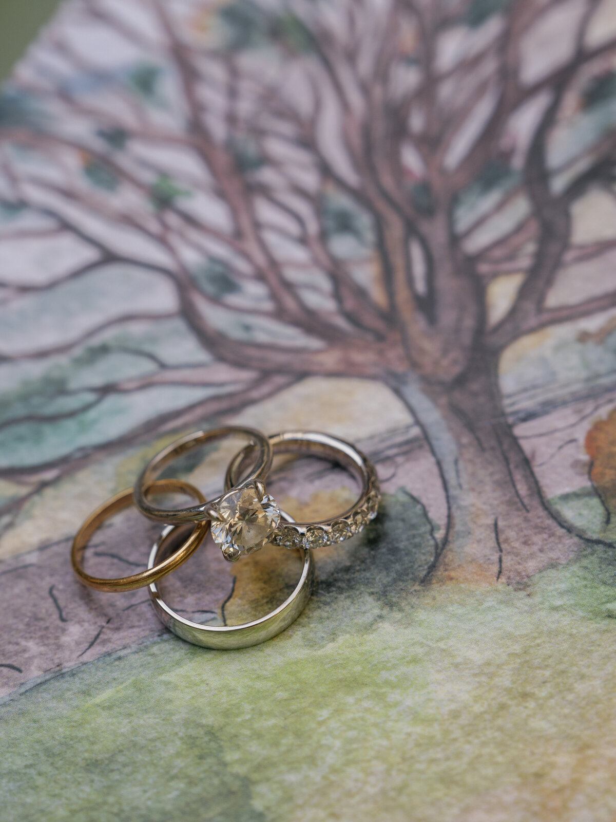 RachelGrant-Website--36