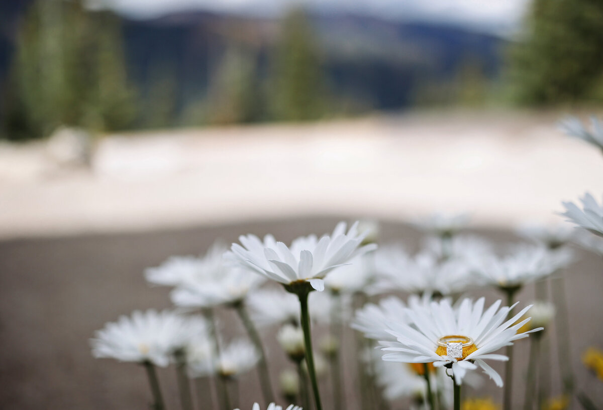 aspen_engagement_photographer_5