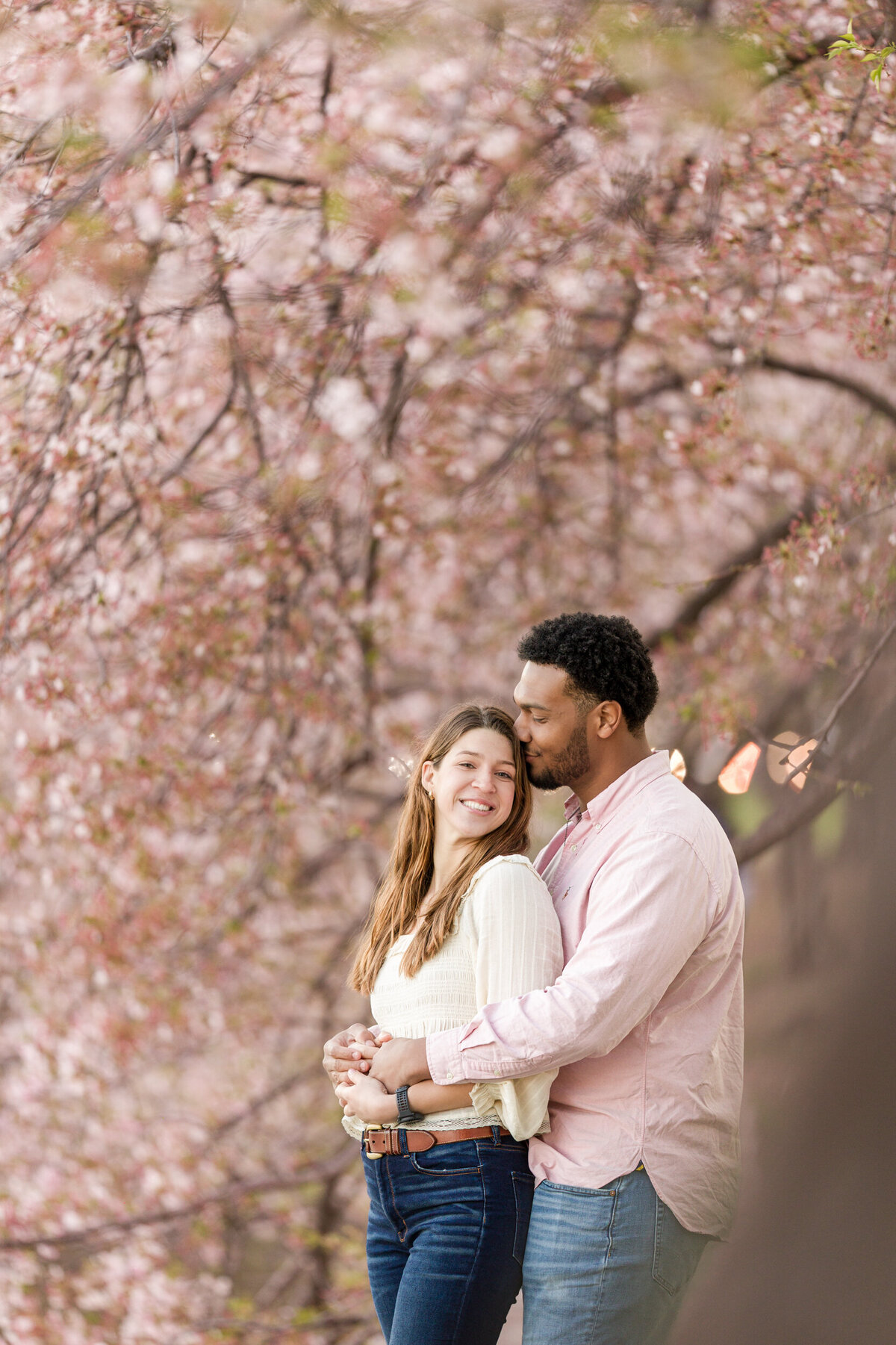 Tender engagement photo of a couple under a canopy of blooming cherry blossoms during the Cherry Blossom Festival in Washington, DC, capturing a moment of love and springtime beauty.