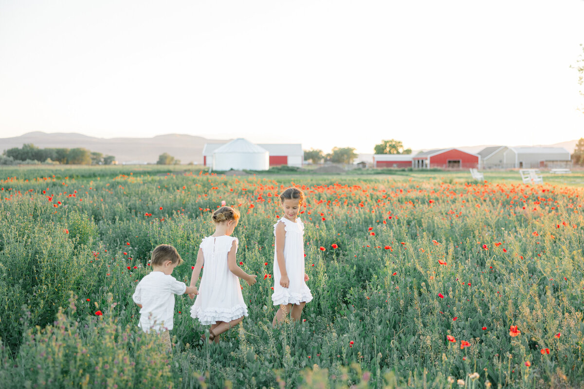 Poppy Field Family Photos-31