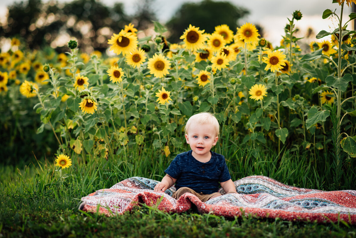 Sunflower-5