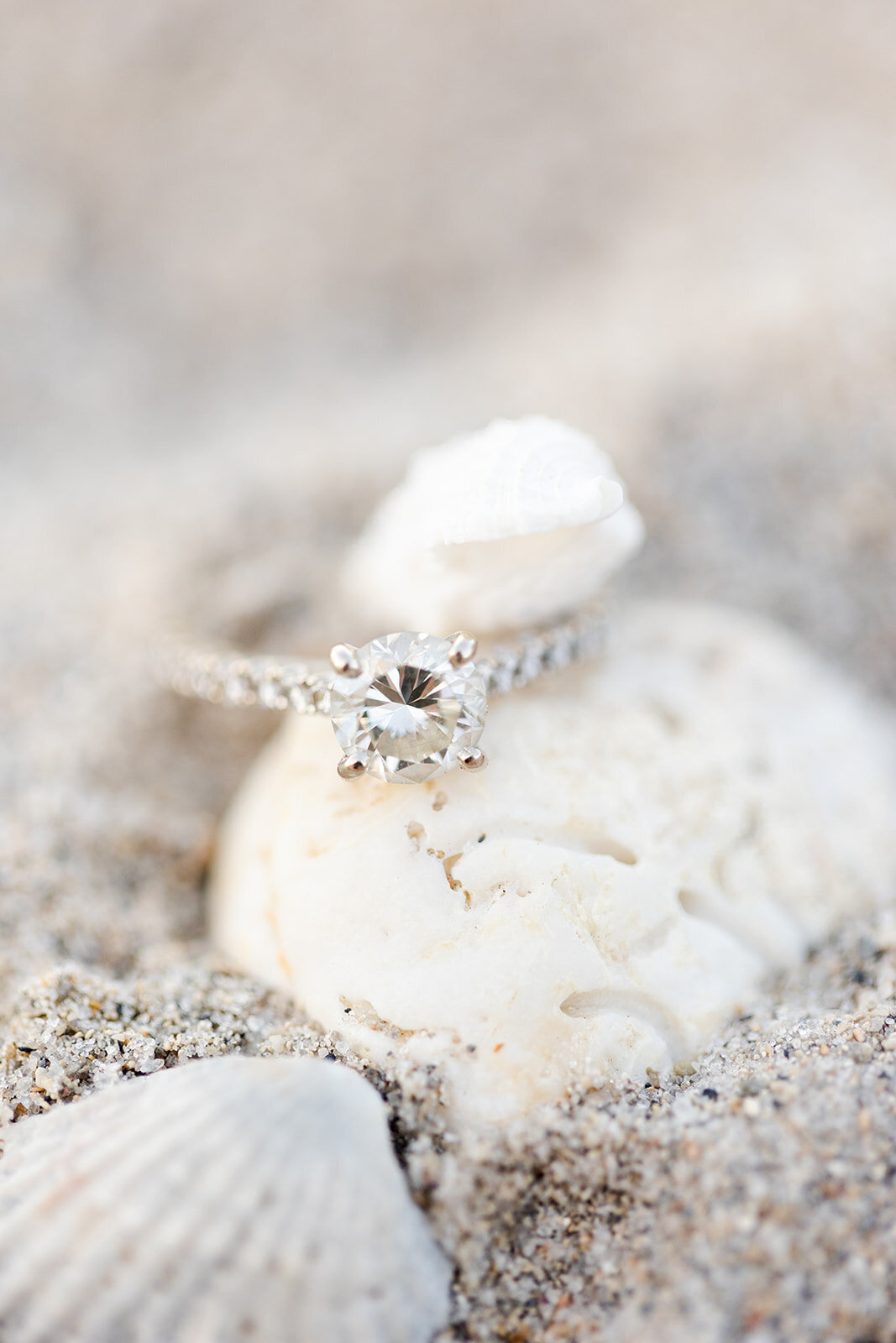 engagement-photographer-the-cannons-photography-miami-florida-photographer-318