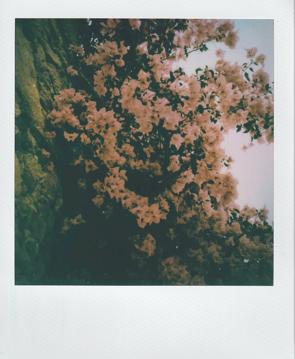 V&C San Miguel_0041