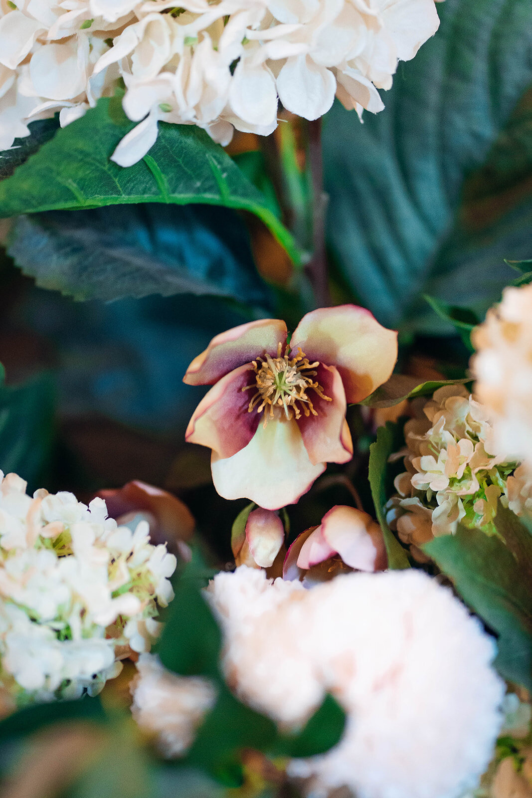 Hyde_House_EmilyCollettPhotography0068