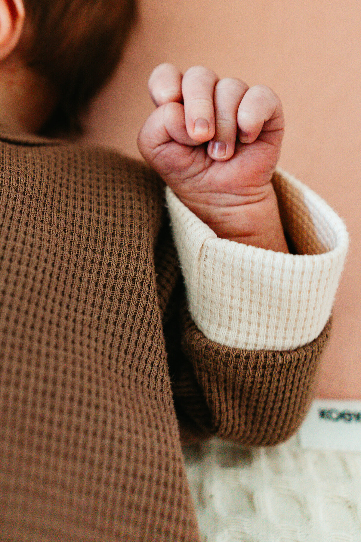 Newbornshoot-Bronte---6