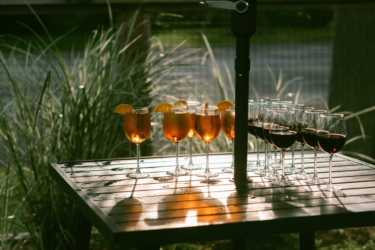 Faye-Fern-Creative-ArdentAndElm-Meaghanne-Tatiana-Hudson-Valley-Same-Sex-Wedding-Cocktail-Details-02