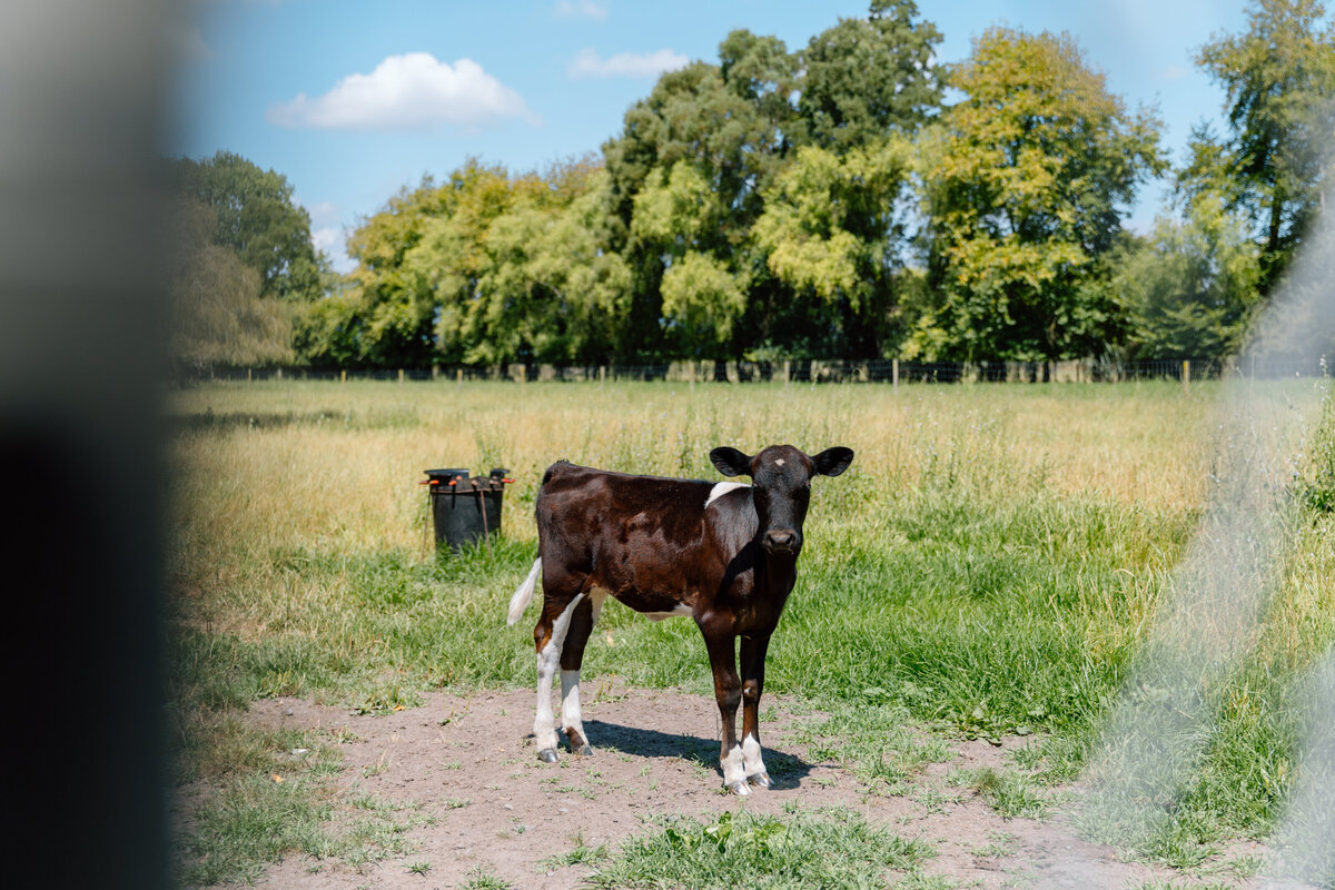 Rere_workeshop3-4-02.25-6837