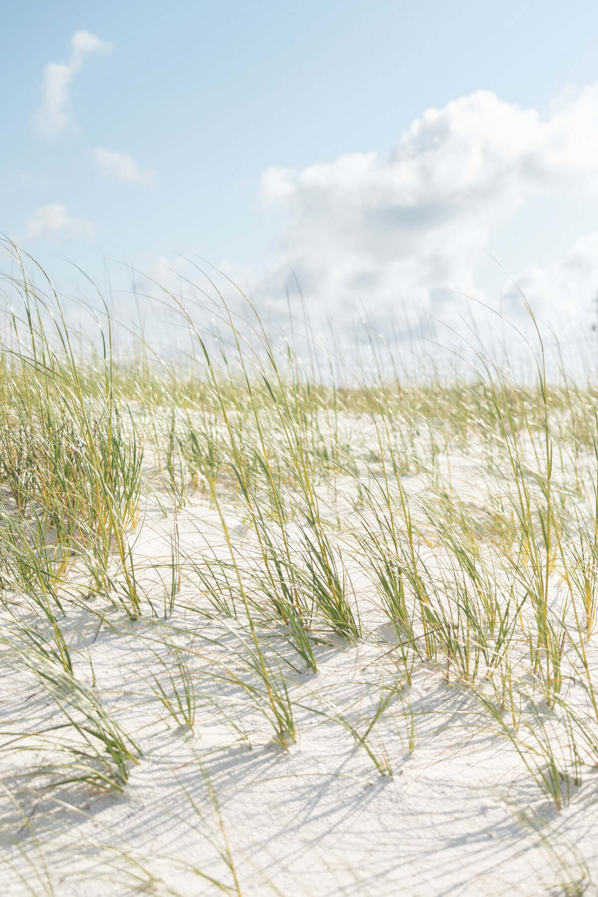 beachhh1-1