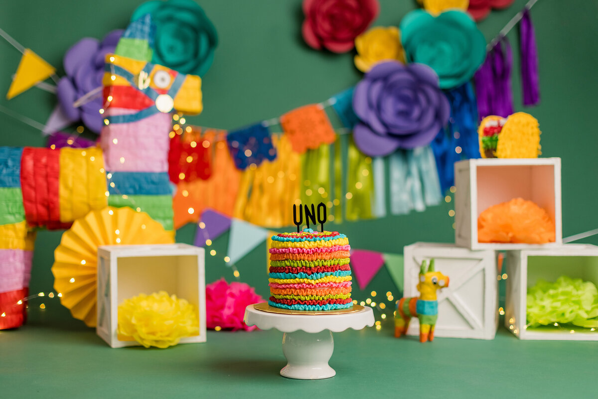 Fiesta Cake Smash Huntsville AL Best Cake Smash First Birthday Photographer Studio