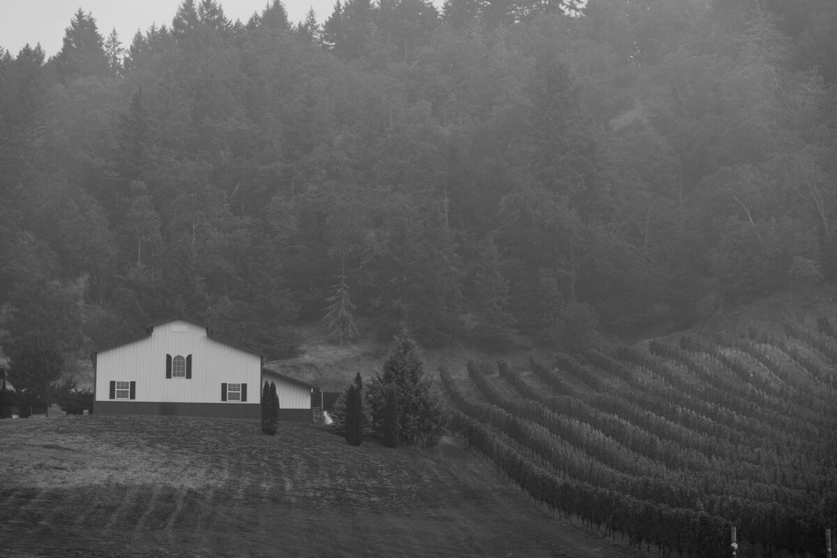 Central-Oregon-Vineyard-Wedding-17