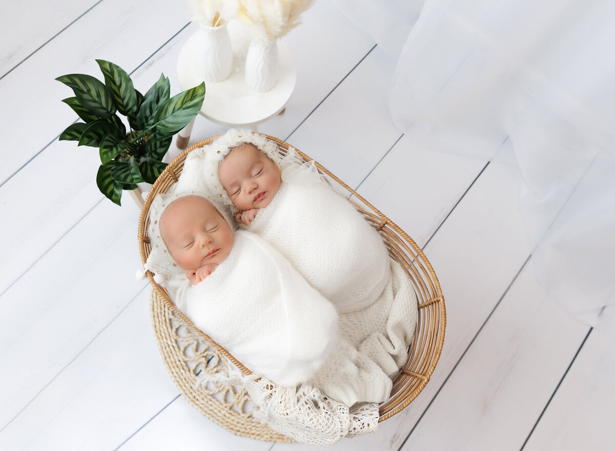 Twin baby girls are placed together in a moses basket for their newborn photoshoot. The girls are swaddled in white with their hands peeking out of the swaddle. Captured by top Brooklyn newborn photographer Chaya Bornstein