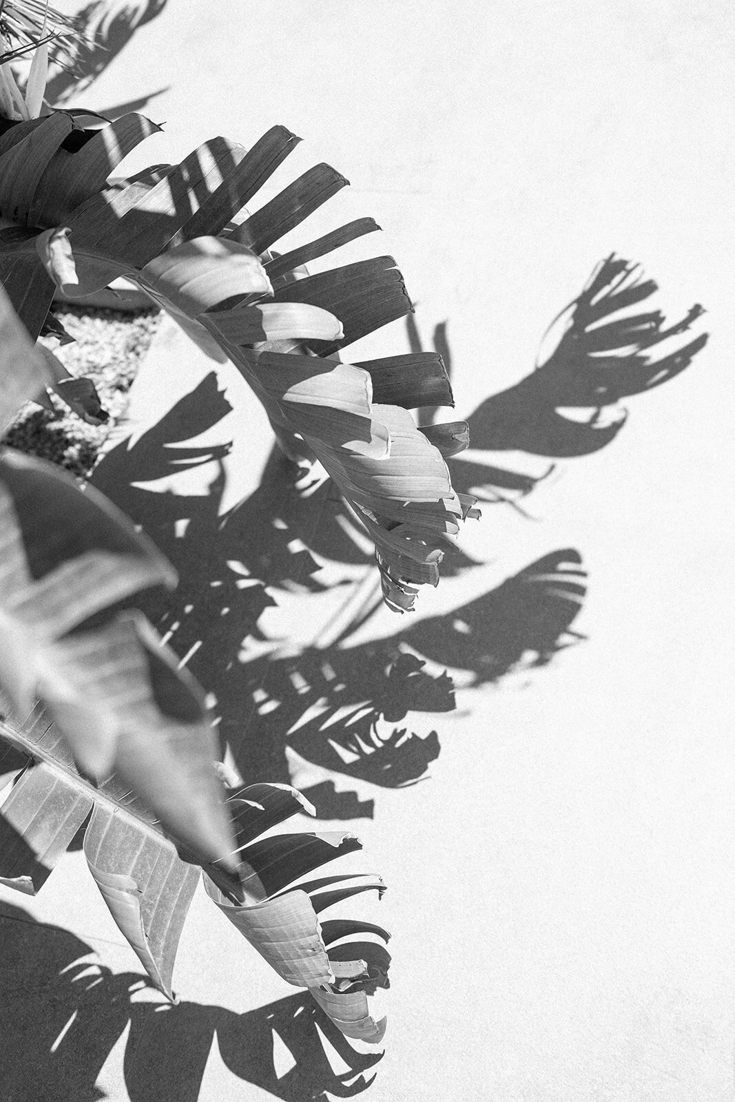 Hannah Malloy East Coast Wedding Photographer