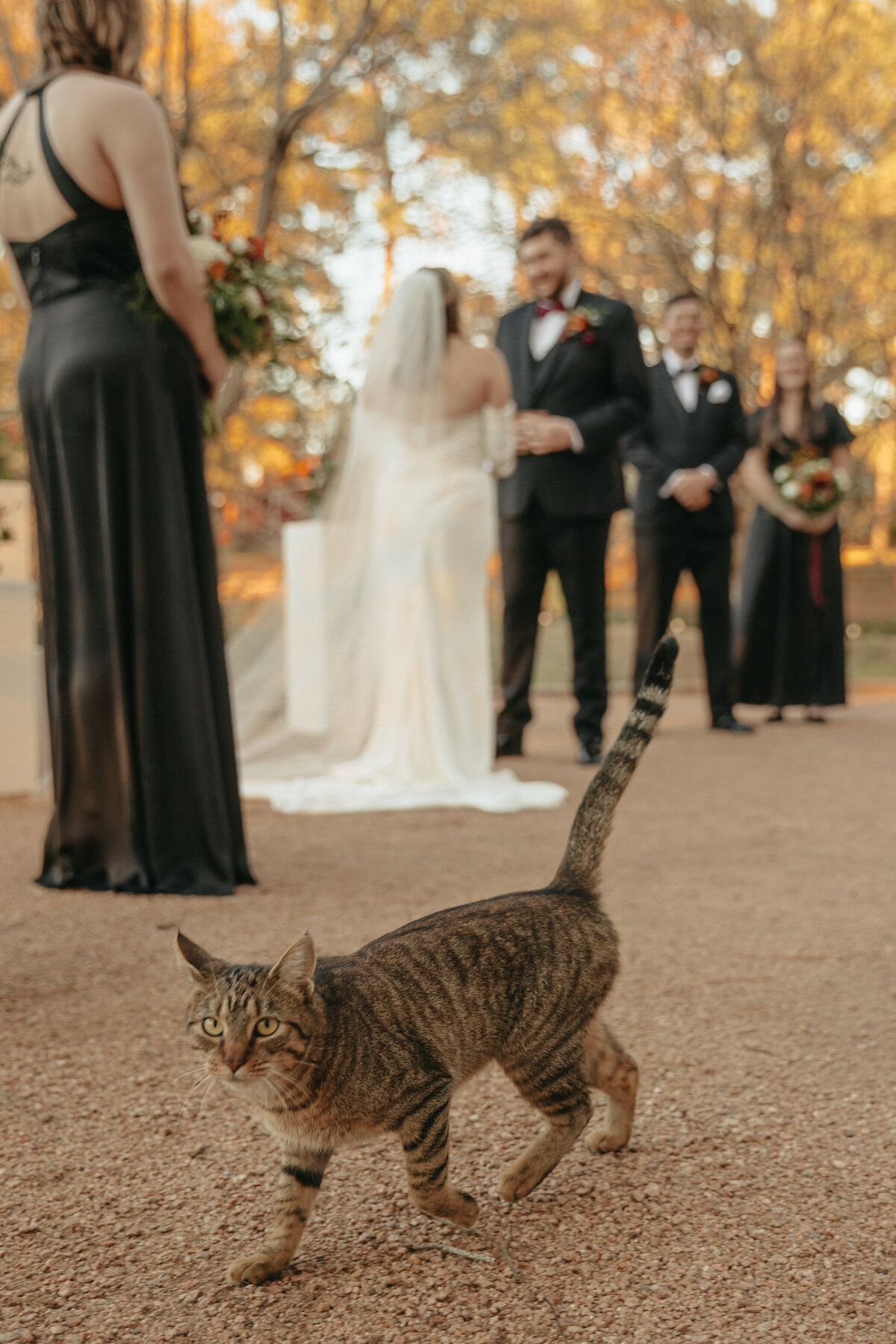 TippeltWedding-PaytonHartsellPhotography-965