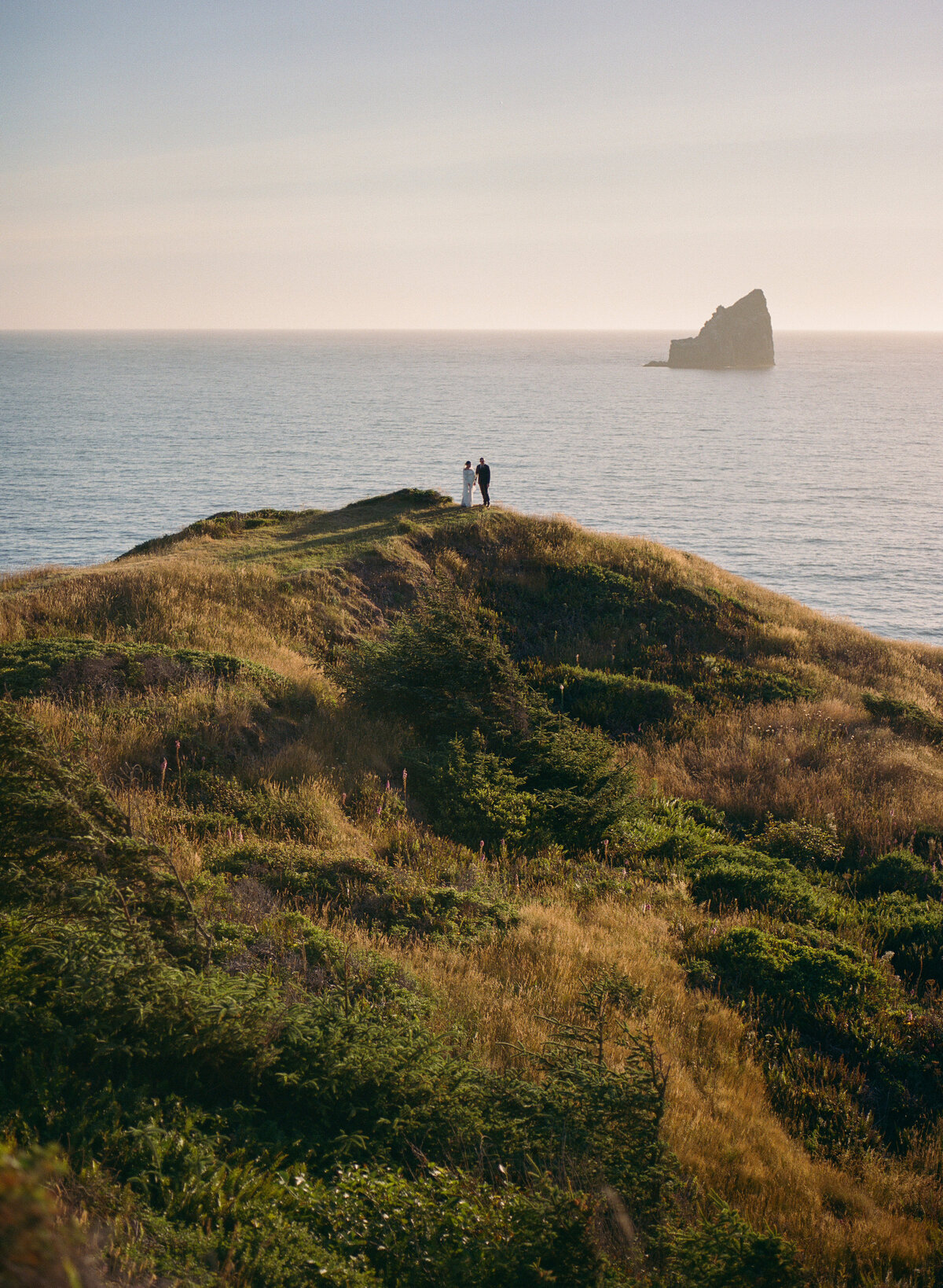 Image of a bride and groom in the distance, overlooking the Pacific Ocean in California